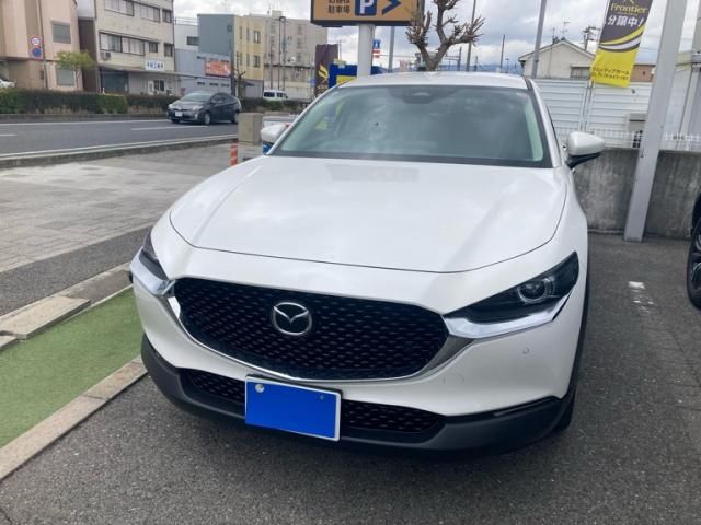 Photo of code 202606766632