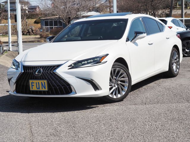 Photo of code 202606850229