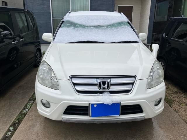 Photo of code 202606866248