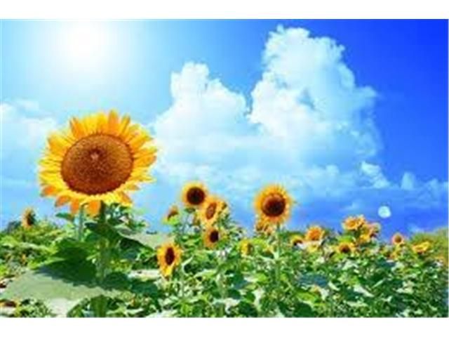 Photo of code 202607066364