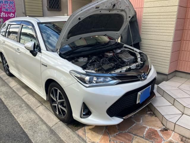 Photo of code 202607066456