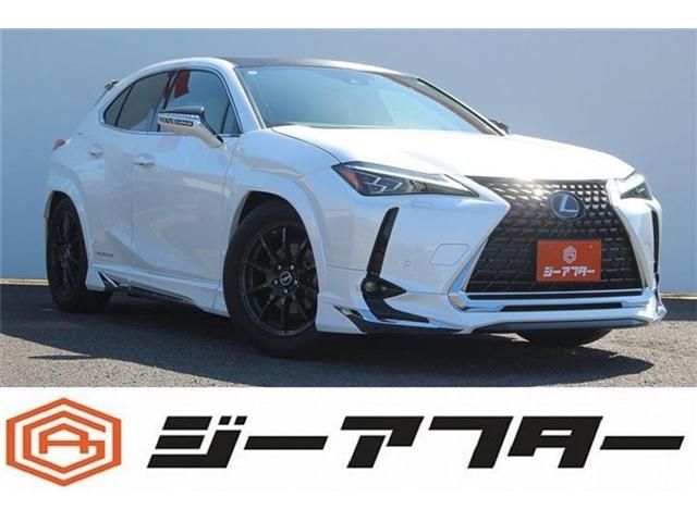 Photo of code 202607066498