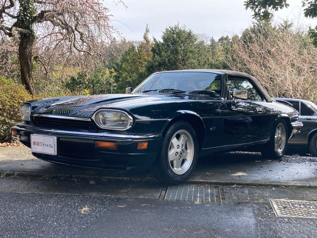 Photo of code 202607366147