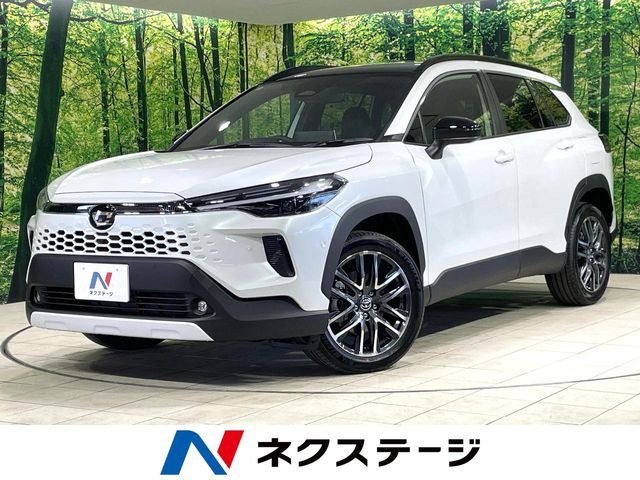 Photo of code 202607562356