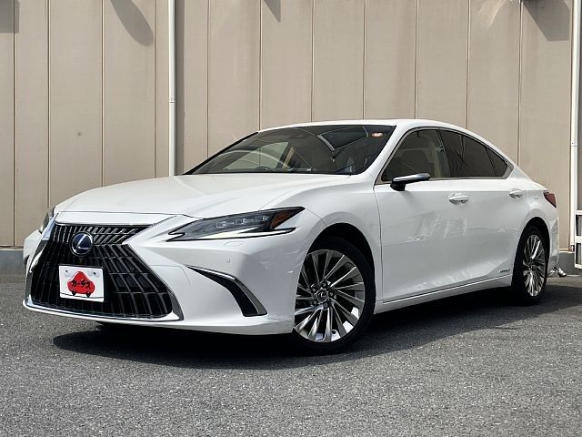 Photo of code 202607666514