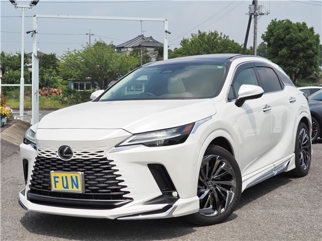 Photo of code 202607950040