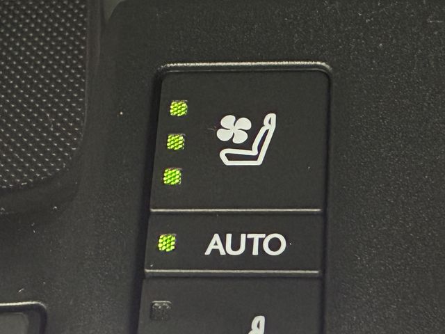 image 28