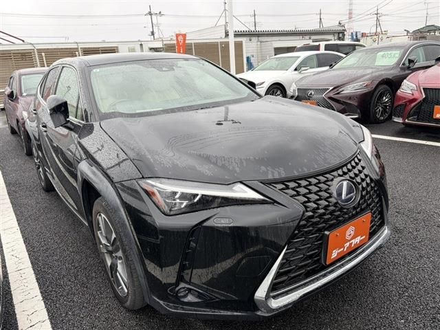 Photo of code 202607966523