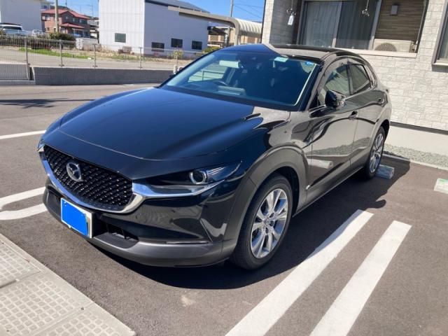 Photo of code 202608067560