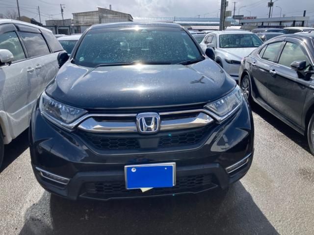 Photo of code 202608166628