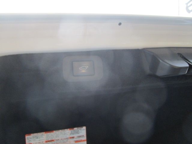 image 29