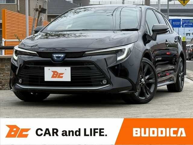 Photo of code 202608365065