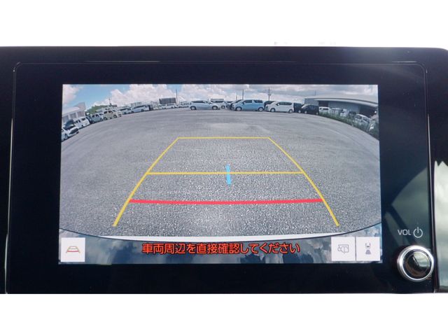image 21