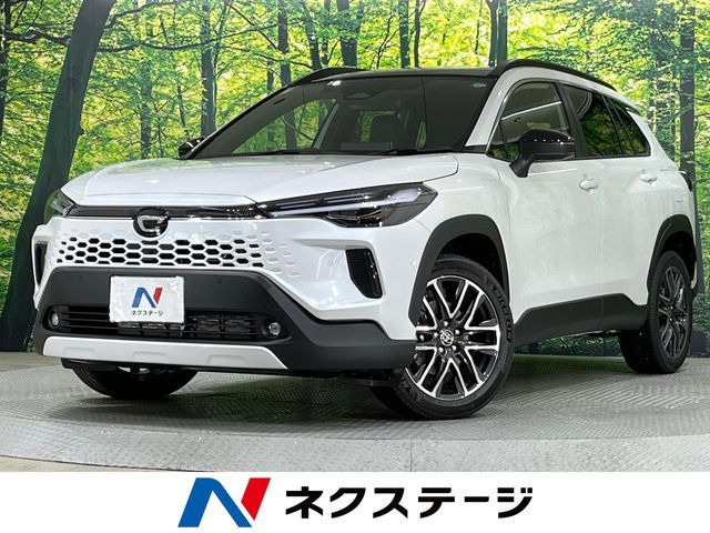 Photo of code 202608760544