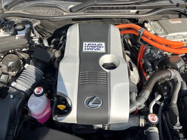 image 16