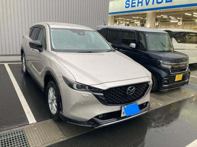 Photo of code 202610065589