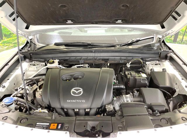 image 17