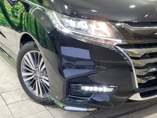 image 13