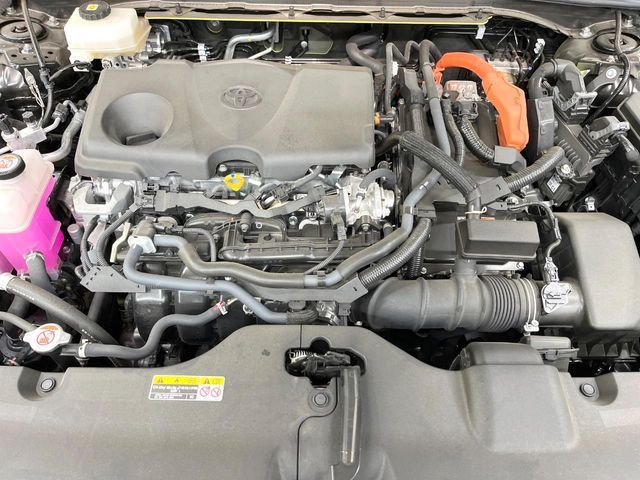 image 19