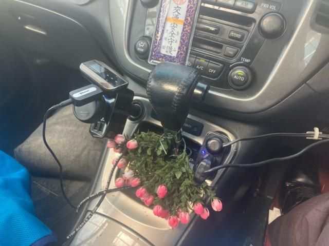 image 16