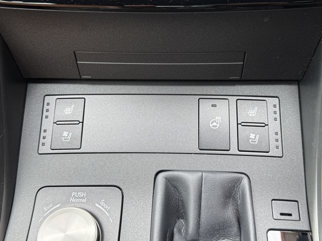 image 23