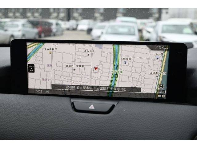 image 21