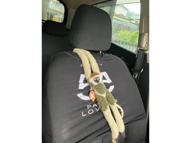 image 23