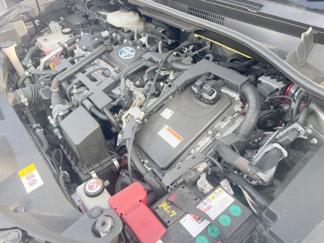 image 18