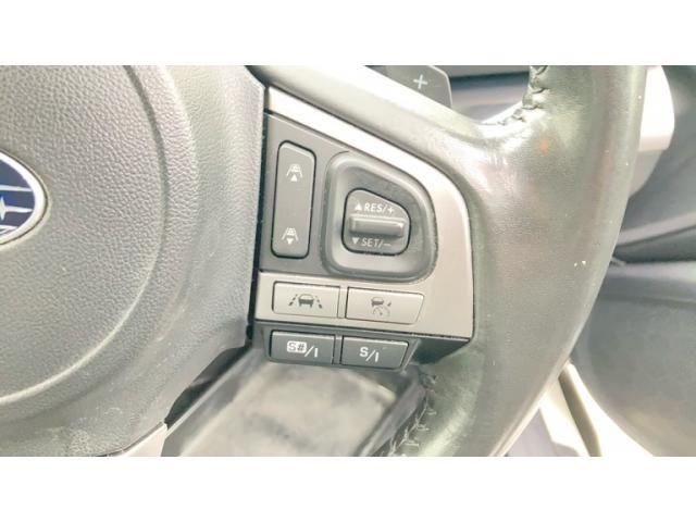 image 16