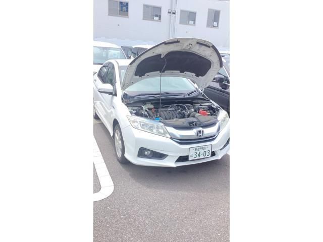 Photo of code 202613368068