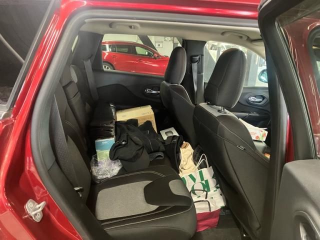 image 13