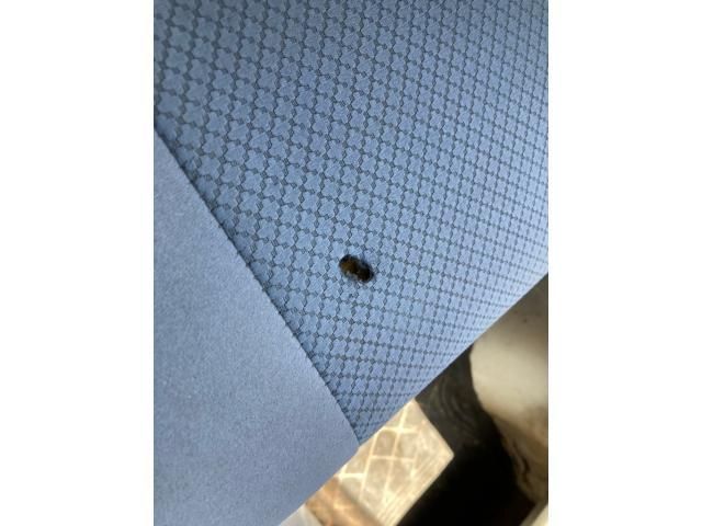 image 28
