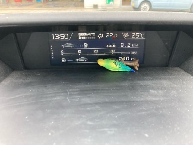 image 14