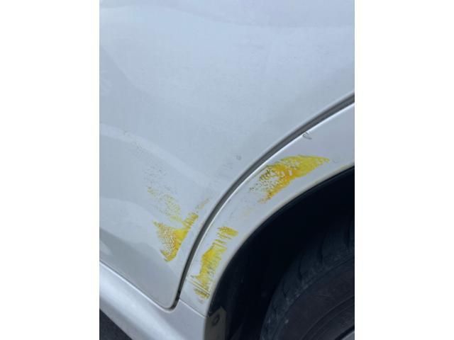 image 23
