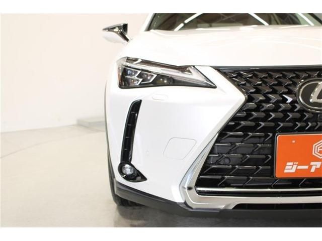 image 17