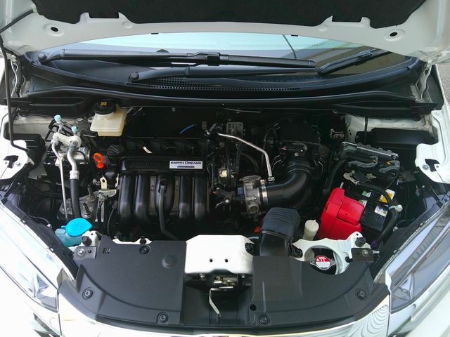 image 19