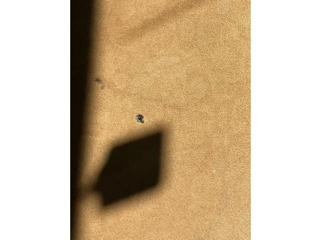 image 24