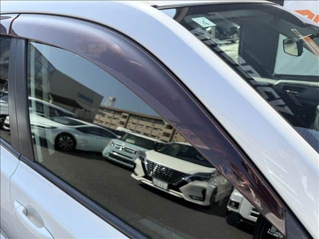 image 29