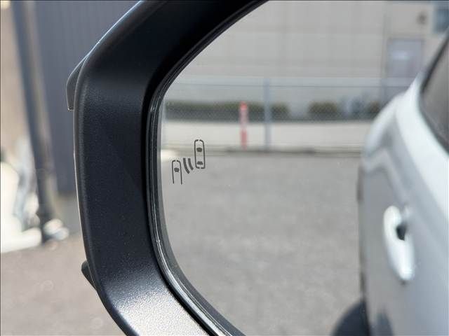 image 29