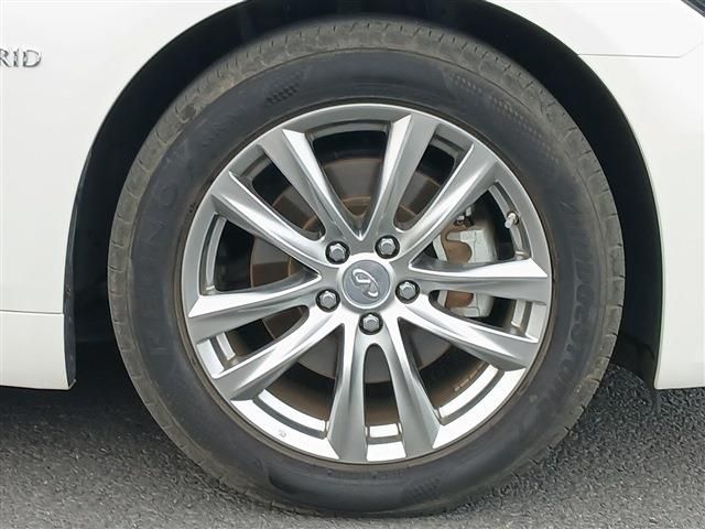 image 13