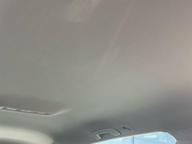 image 23
