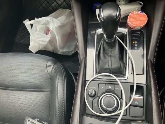 image 21