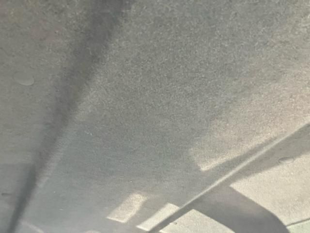 image 23