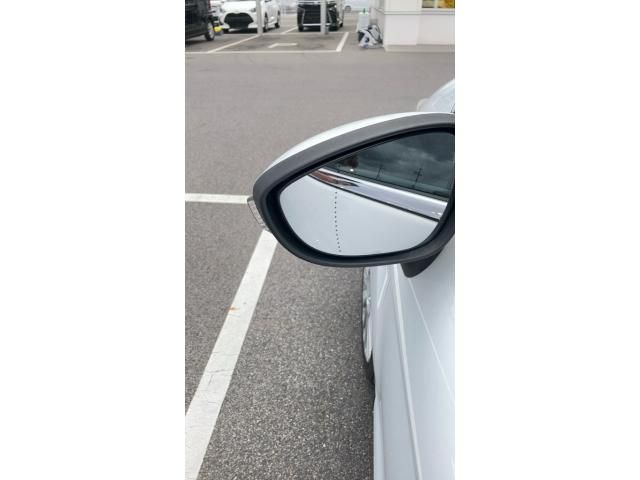 image 27