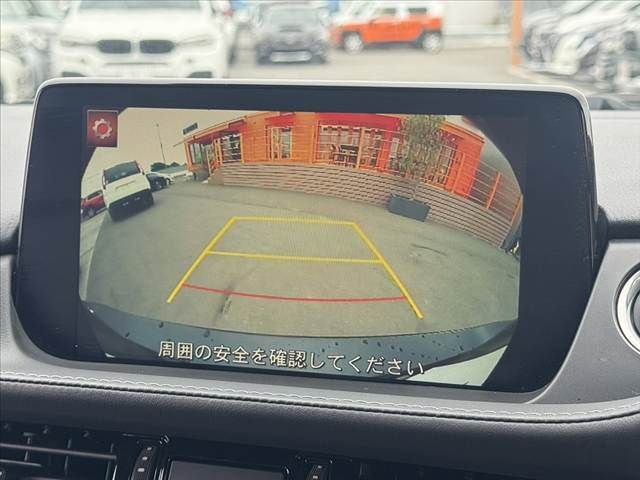 image 21