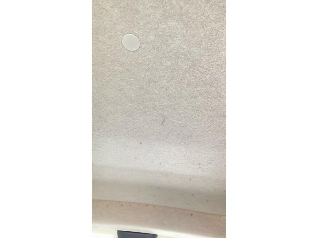 image 24
