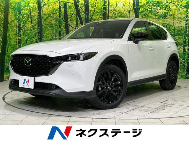 Photo of code 202614862852