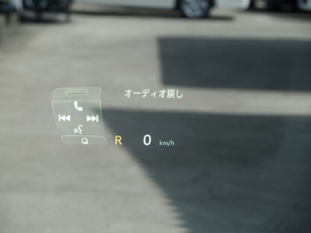 image 29
