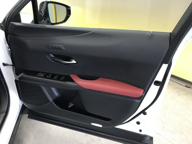 image 21