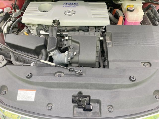 image 17
